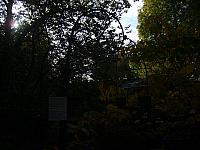 S6000020 800x600