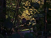 S6000023 800x600