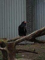 S6000058 800x600