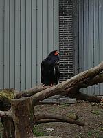 S6000059 800x600