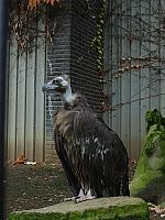 S6000070 800x600