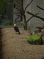 S6000077 800x600
