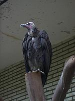 S6000082 800x600