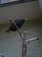 S6000083 800x600