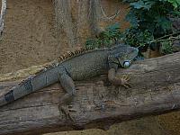 S6000100 800x600