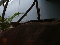 S6000102 800x600