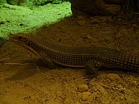 S6000121 800x600