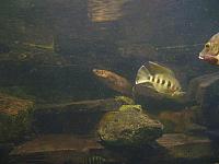 S6000175 800x600