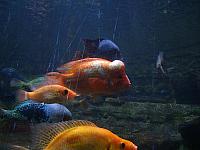 S6000182 800x600