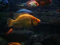 S6000183 800x600
