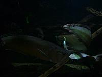 S6000192 800x600