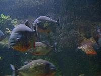 S6000193 800x600