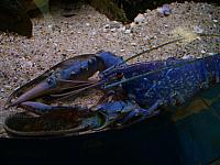 S6000209 800x600