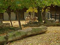 S6000234 800x600