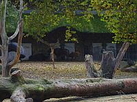 S6000236 800x600
