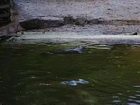 S6000239 800x600