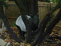 S6000246 800x600