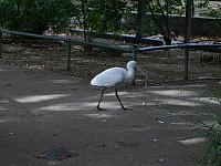 S6000249 800x600