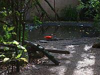 S6000250 800x600