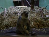 S6000262 800x600