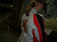 S6000268 800x600