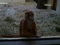 S6000279 800x600