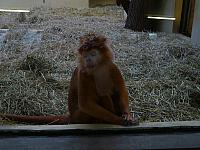S6000280 800x600