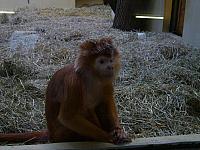 S6000281 800x600