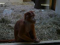 S6000282 800x600