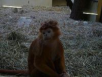 S6000283 800x600