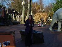 S6000011 800x600