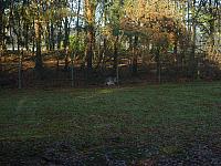 S6000029 800x600