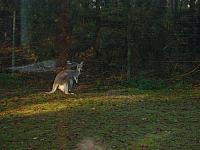 S6000030 800x600
