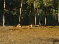 S6000055 800x600