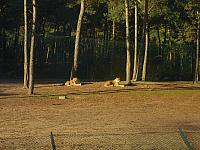 S6000056 800x600