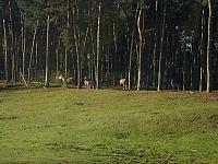 S6000060 800x600