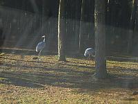 S6000062 800x600