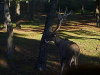 S6000070 800x600