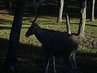 S6000071 800x600
