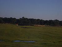 S6000091 800x600