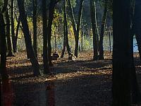 S6000110 800x600