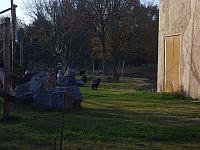 S6000147 800x600
