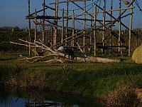 S6000155 800x600