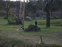 S6000164 800x600