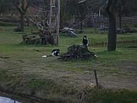S6000165 800x600