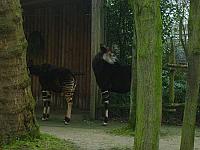 S6000028 800x600