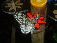 S6000140 800x600