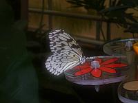 S6000141 800x600