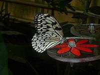 S6000142 800x600