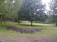 S6000008 800x600